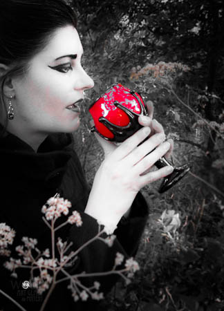 Vlad's Rosebud Goblet by Wolf Art Glass